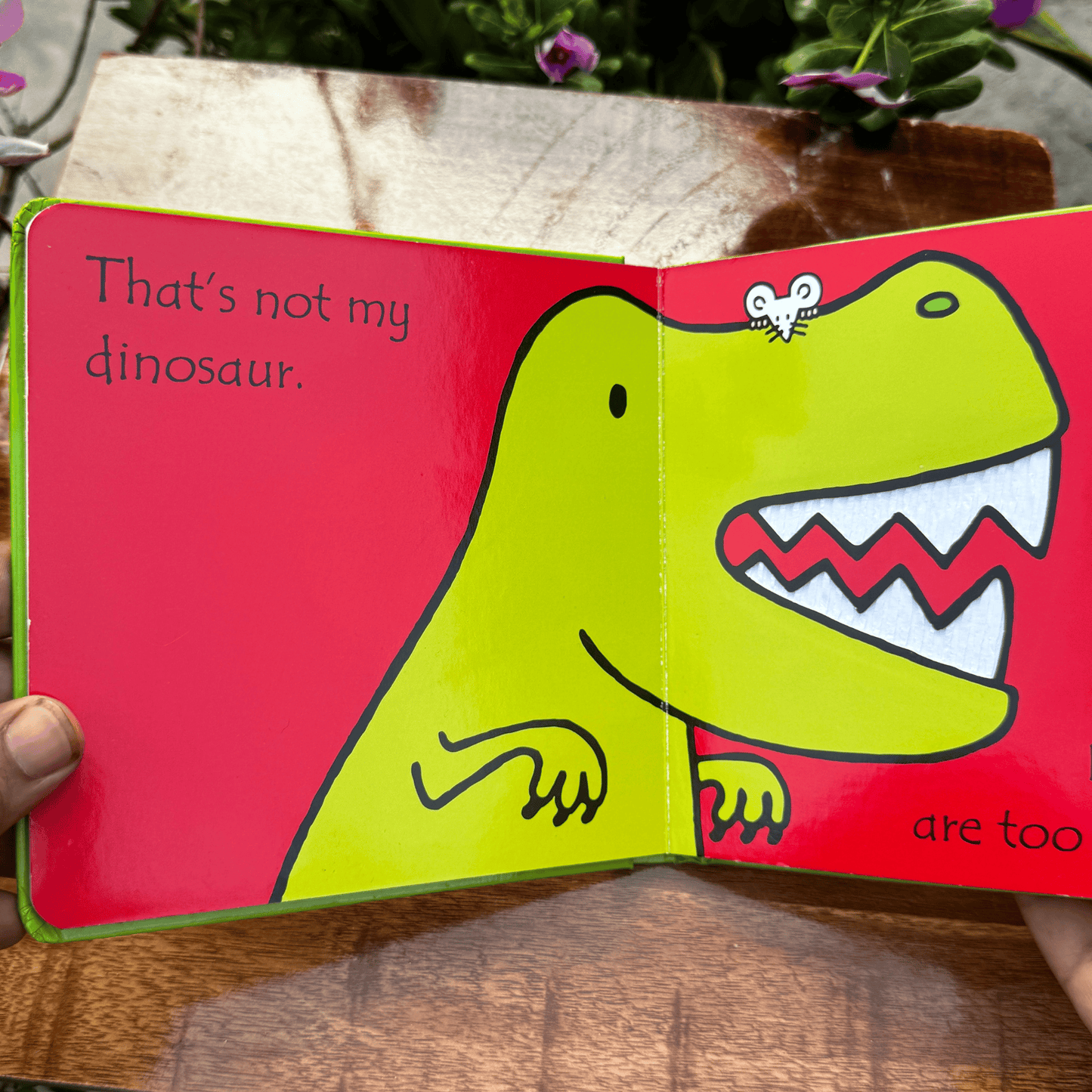 That's not my dinosaur