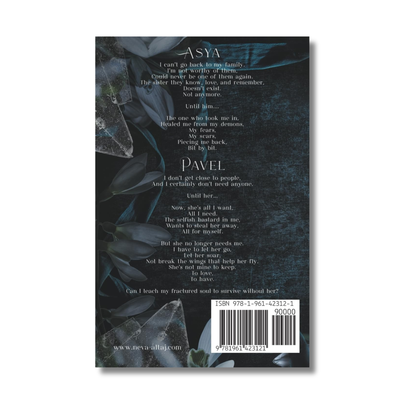 Fractured Souls: Perfectly Imperfect #6