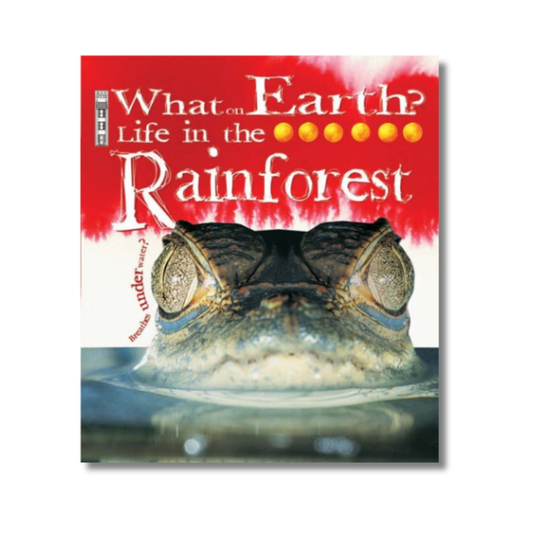 Life in the Rainforest
