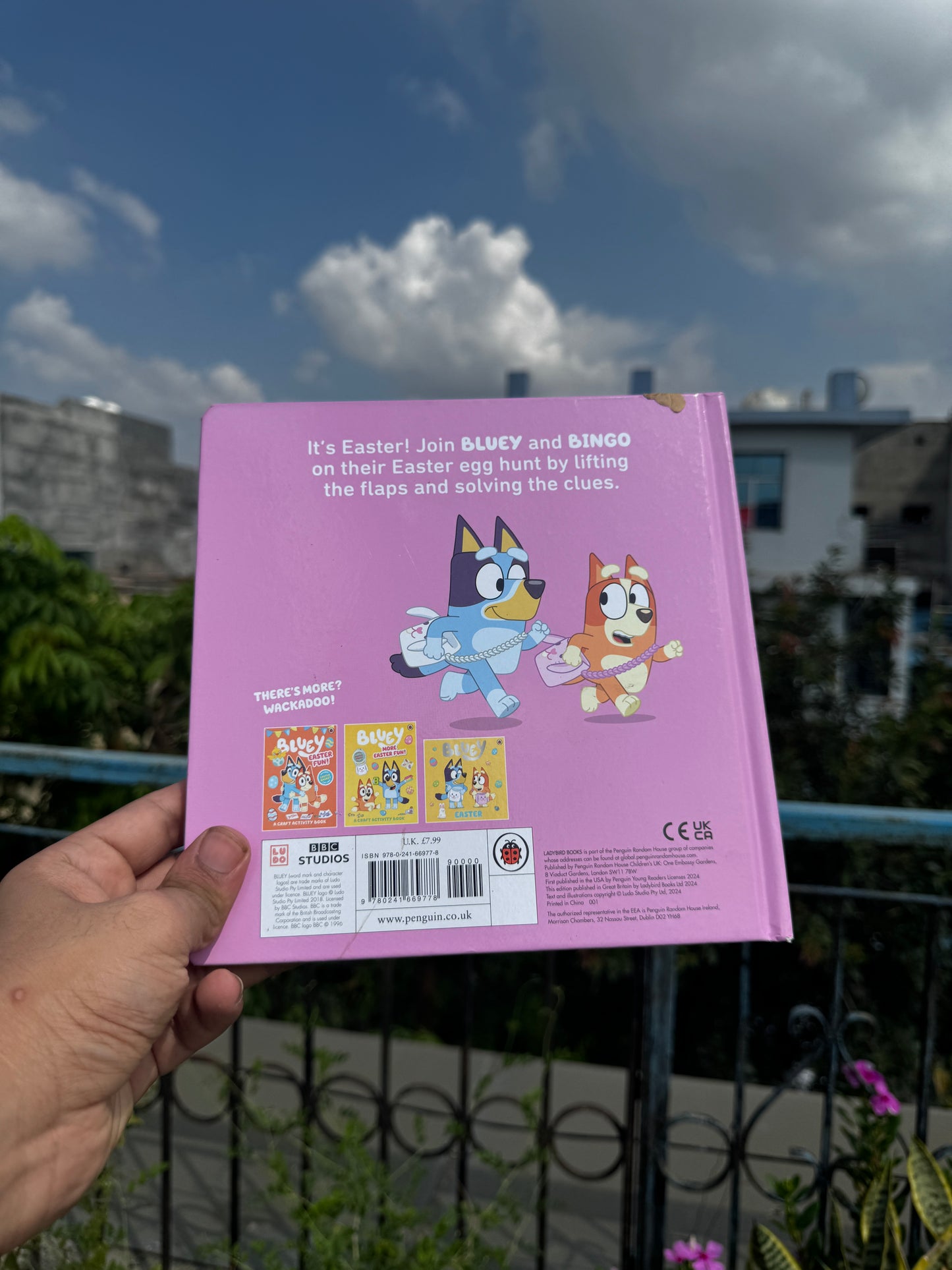 Bluey: Hooray, It’s Easter!: A Lift-the-Flap Book