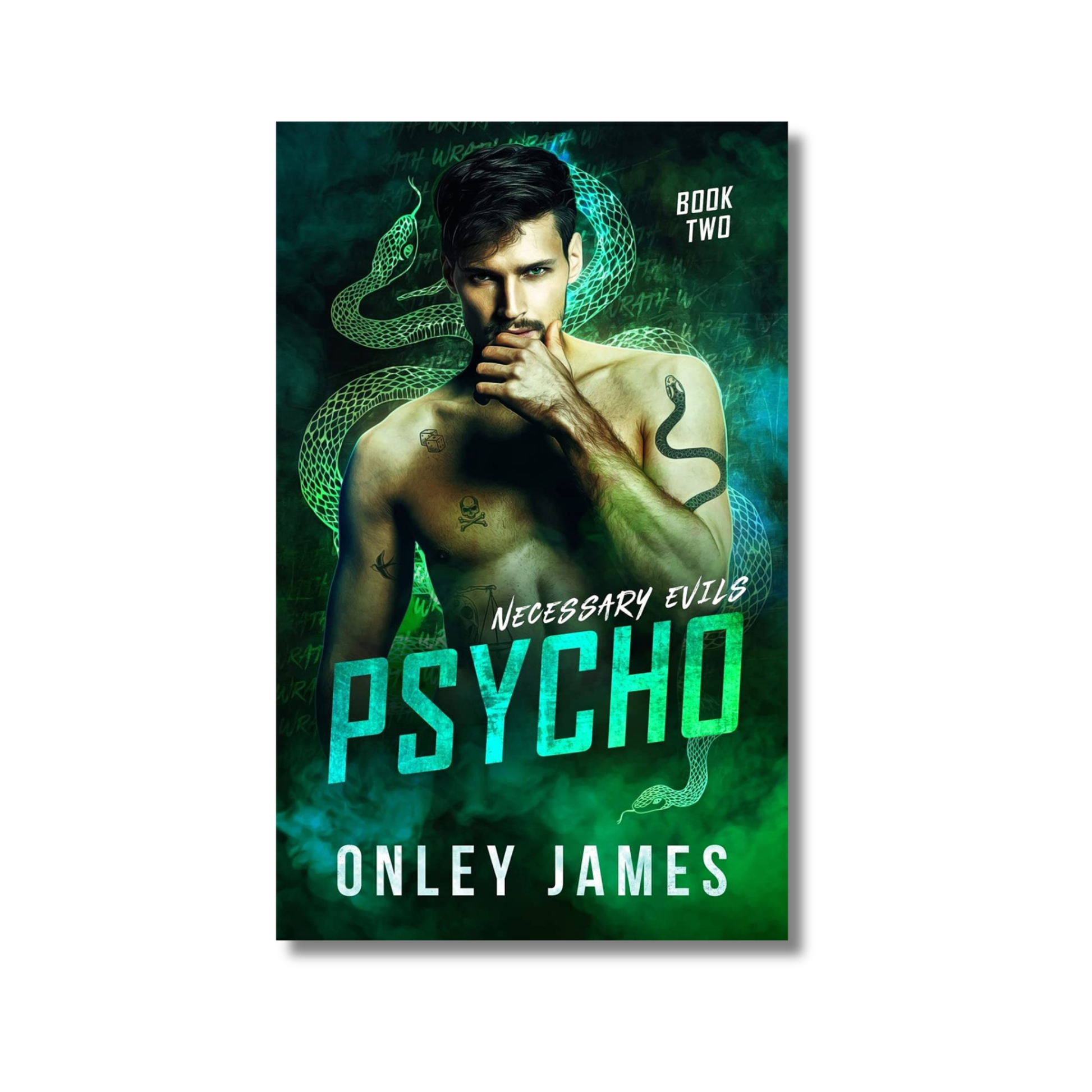 Psycho: Necessary Evils Series #2 book cover