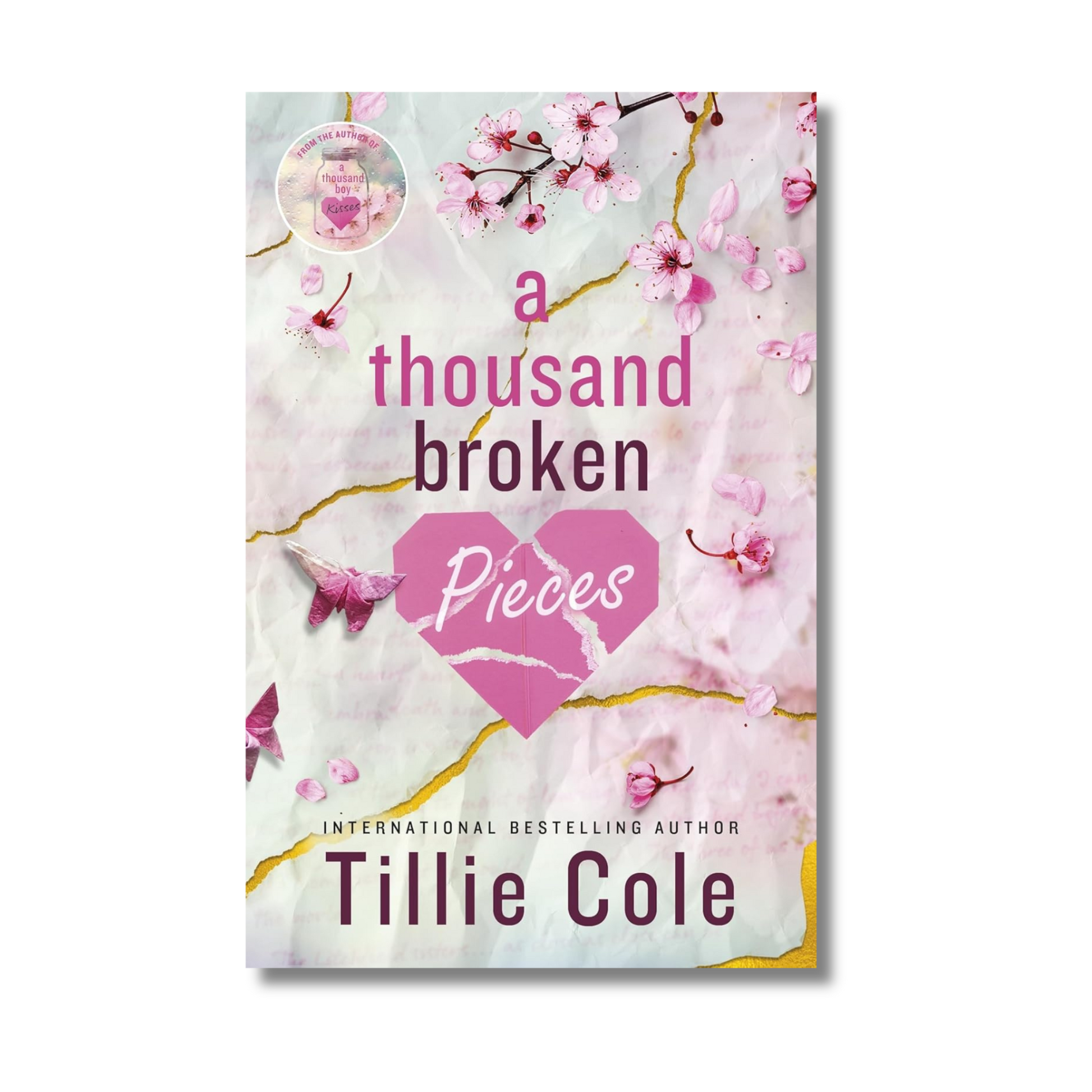 A Thousand Broken Pieces book cover
