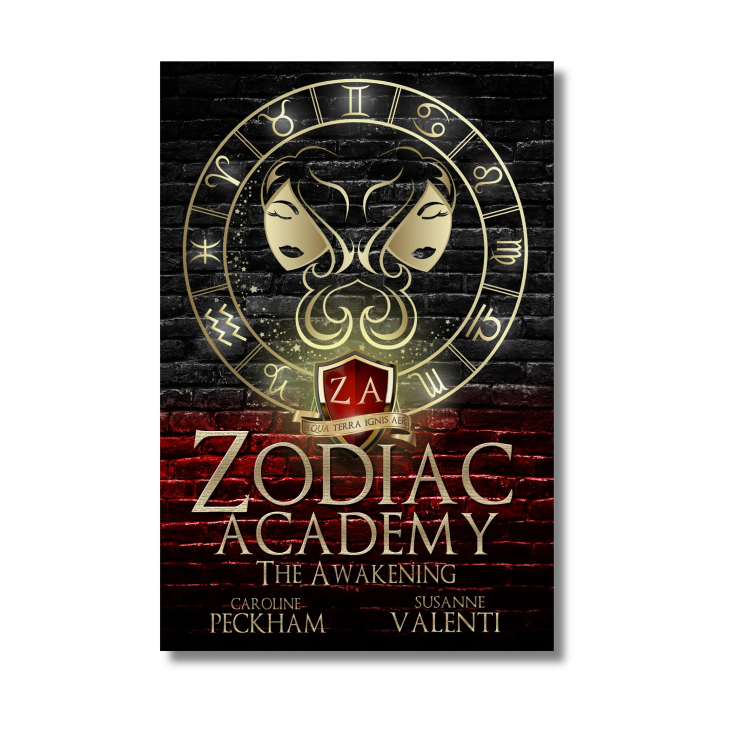 The Awakening: Zodiac Academy #1 book cover