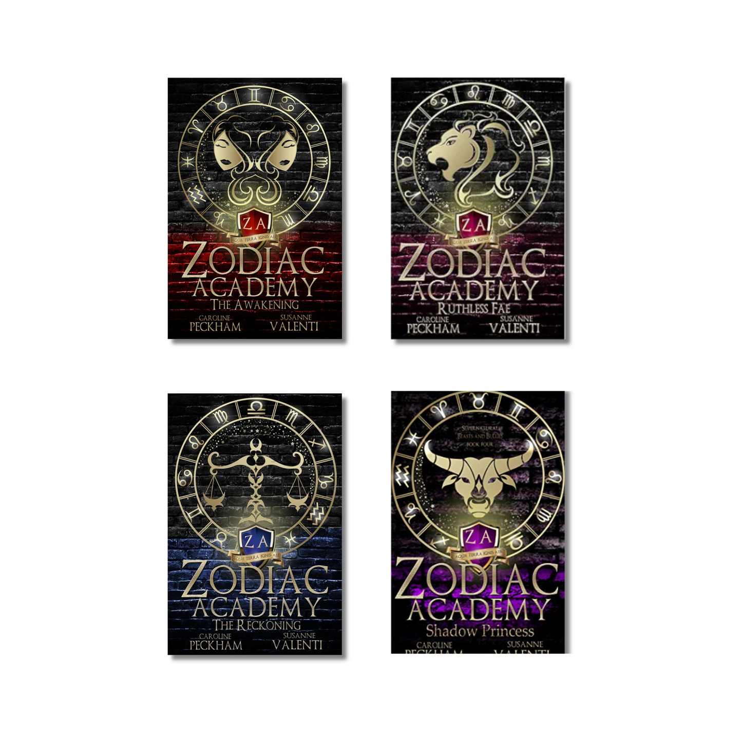 (Combo 4 Book) Zodiac Academy Series