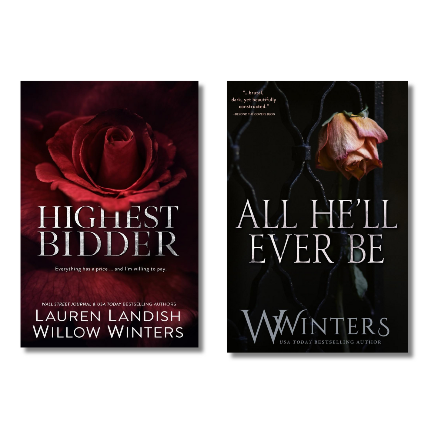 (Combo 2 Book) All He'll Ever Be + Highest Bidder