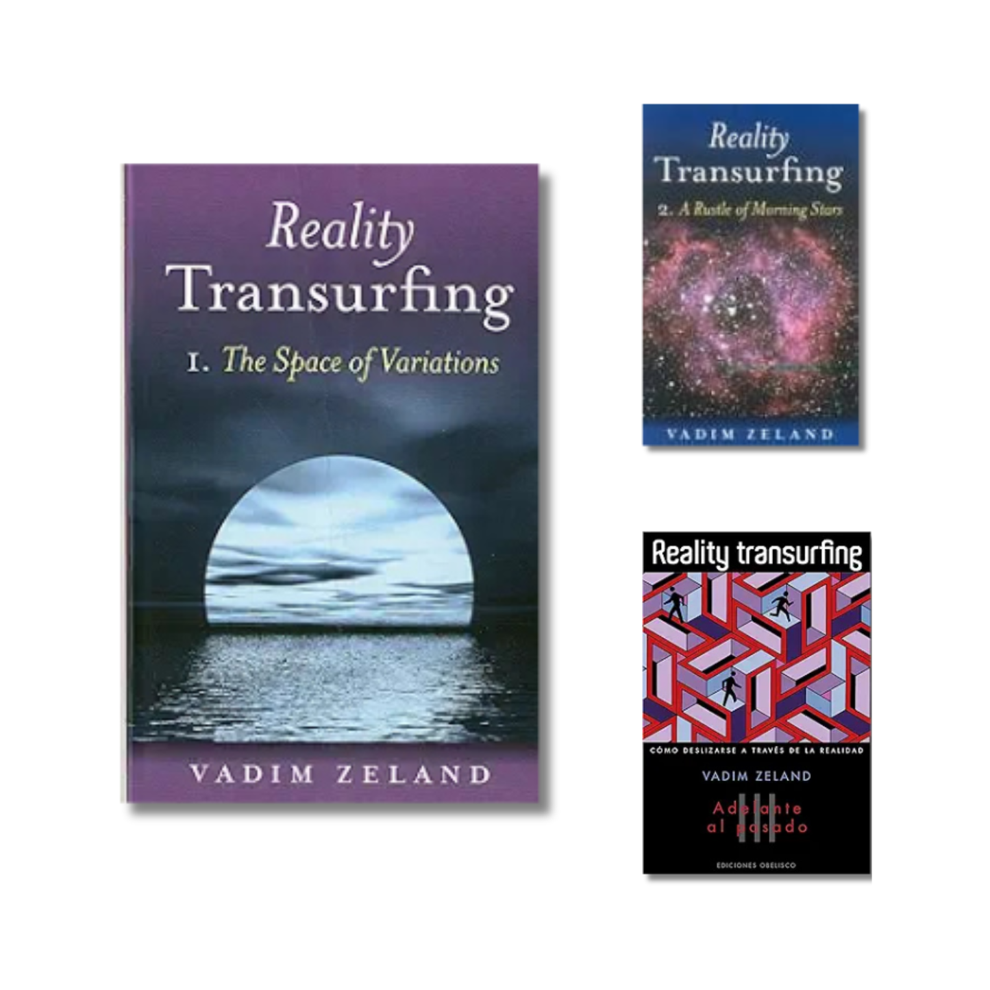 (Combo) Reality Transurfing (Book 1 to 3)