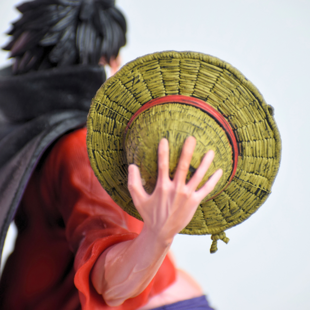 Conqueror's Haki Monkey D Luffy (Double Headed) - close-up of straw hat held in hand
