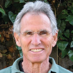 Jon Kabat-Zinn