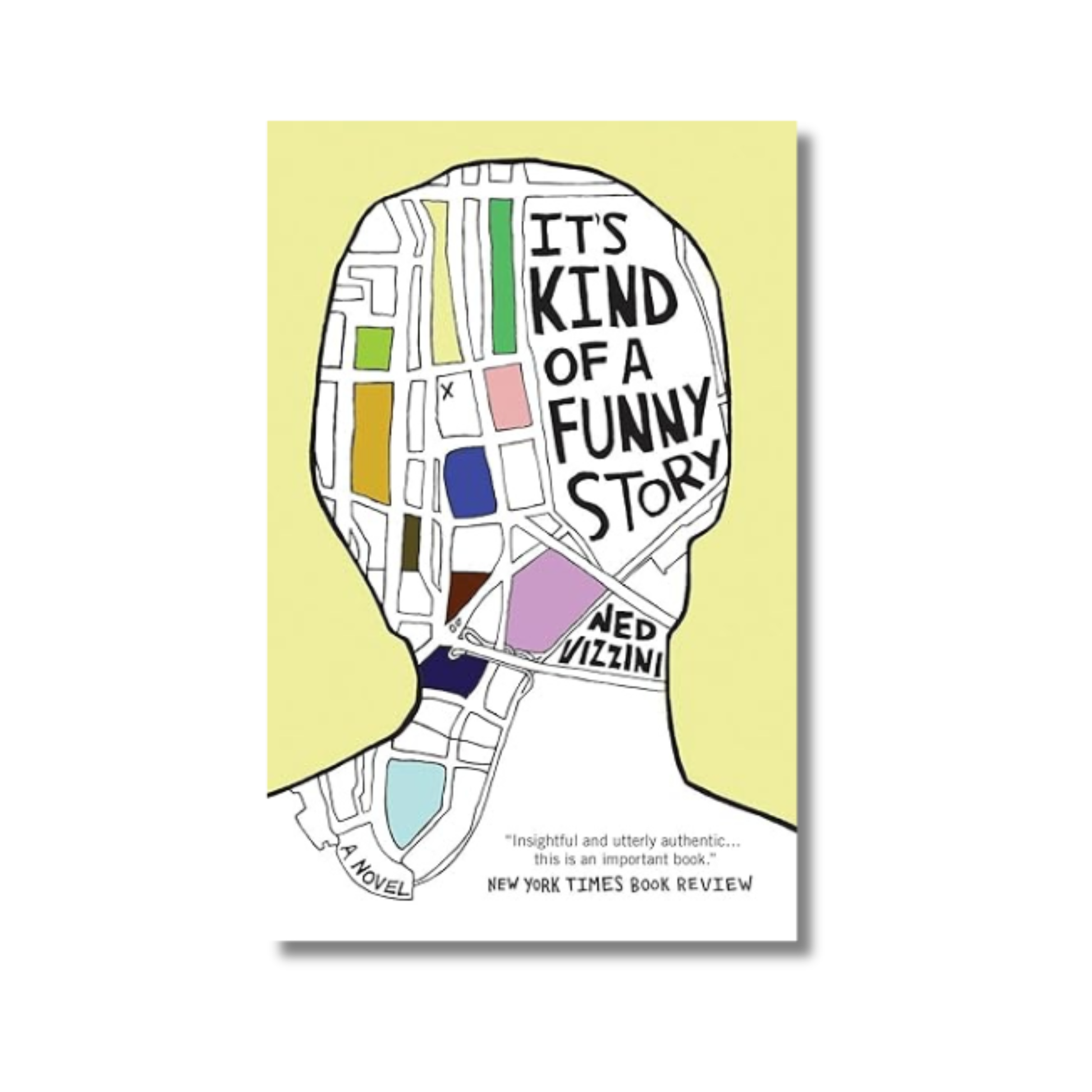 It's Kind of a Funny Story book cover