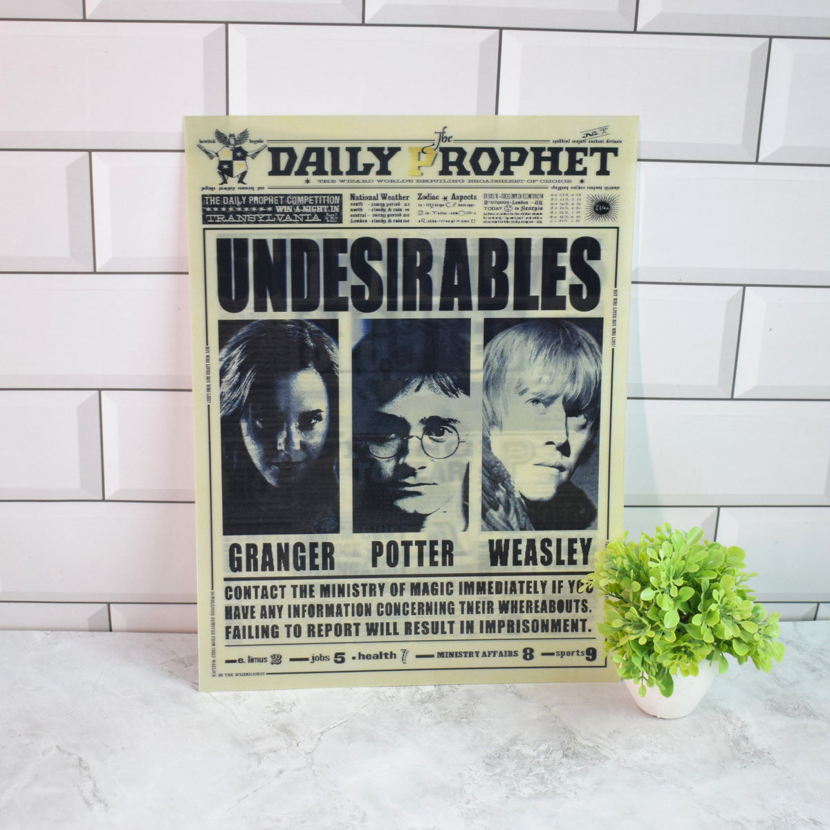 Harry Potter Daily Prophet (Undesirables & Sirius Black) 3D Lenticular A3 Poster – Undesirables