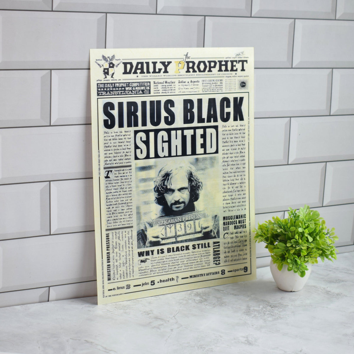 Harry Potter Daily Prophet (Undesirables & Sirius Black) 3D Lenticular A3 Poster – Sirius Black Sighted