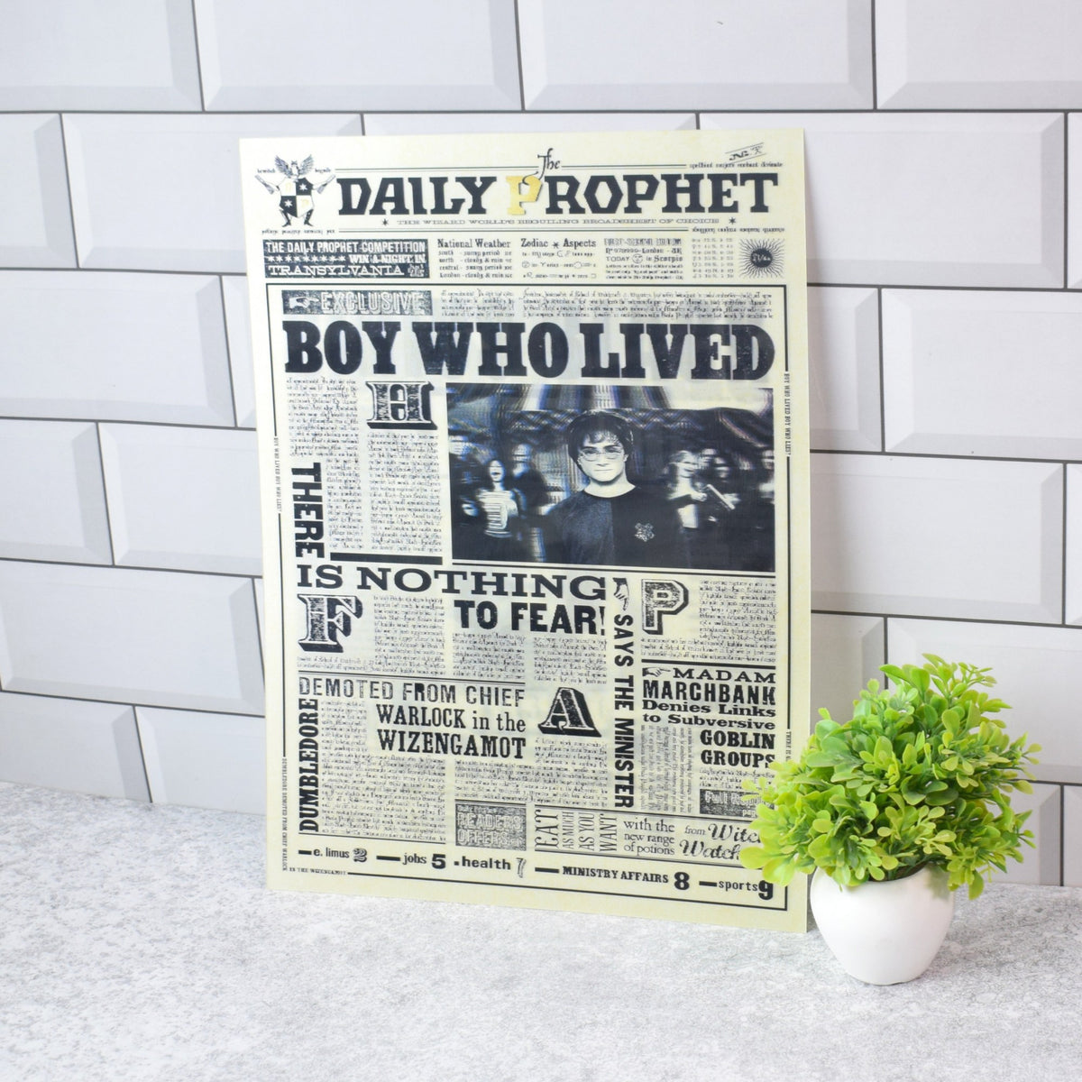 Harry Potter Daily Prophet (Undesirables & Sirius Black) 3D Lenticular A3 Poster – Boy Who Lived