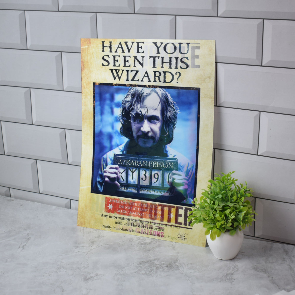 Harry Potter Wanted Colour Edition (Undesirable No.1 & Sirius Black) 3D Lenticular A3 Poster – Sirius Black