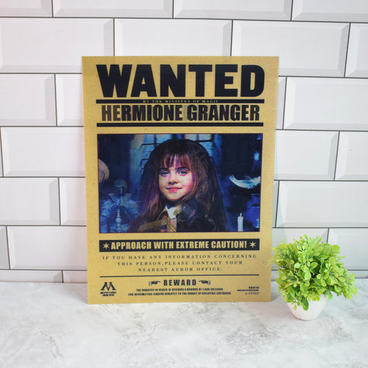 Harry Potter Wanted (Hermione, Ron & Harry) 3D Lenticular A3 Poster – Hermione
