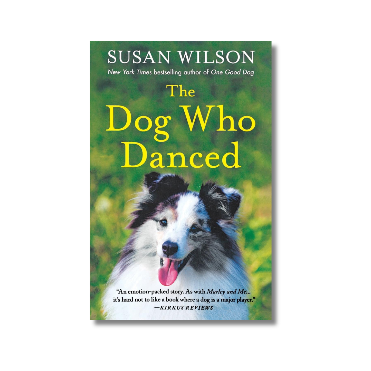 The Dog Who Danced book cover