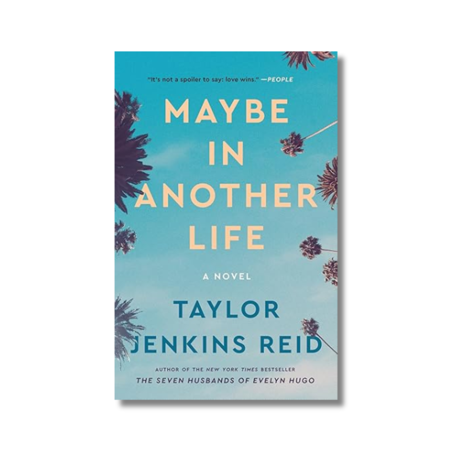 Maybe In Another Life book cover