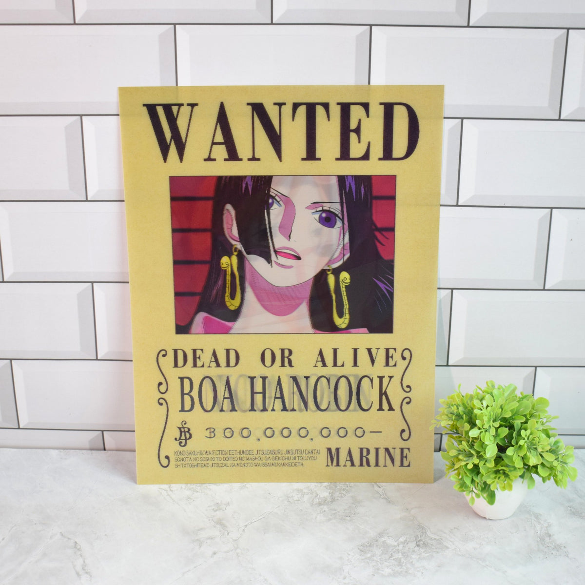 One Piece Wanted (Boa Hancock, Robin & Nami) 3D Lenticular A3 Poster – Boa Hancock