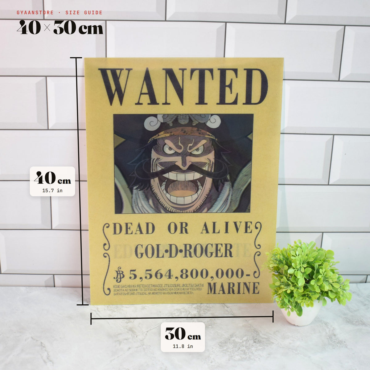 One Piece Wanted (Gol D. Roger, Whitebeard & Shanks) 3D Lenticular A3 Poster – size guide 40 x 30 cm