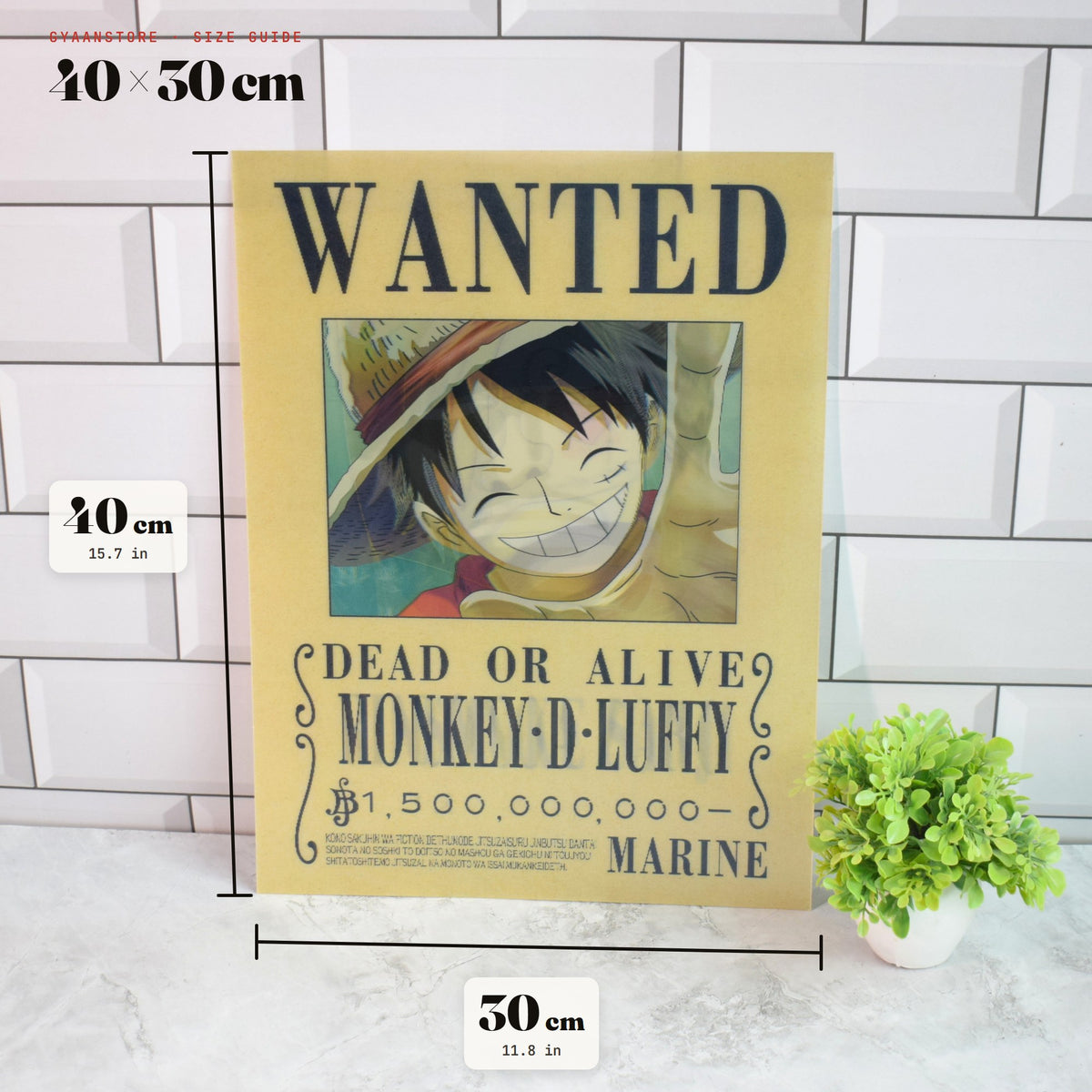 One Piece Wanted (Luffy, Zoro & Sanji) 3D Lenticular A3 Poster – size guide 40 x 30 cm