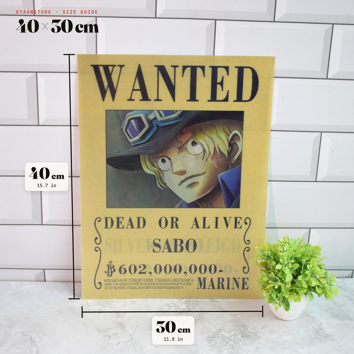 One Piece Wanted (Sabo, Kaido & Rayleigh) 3D Lenticular A3 Poster – size guide 40 x 30 cm