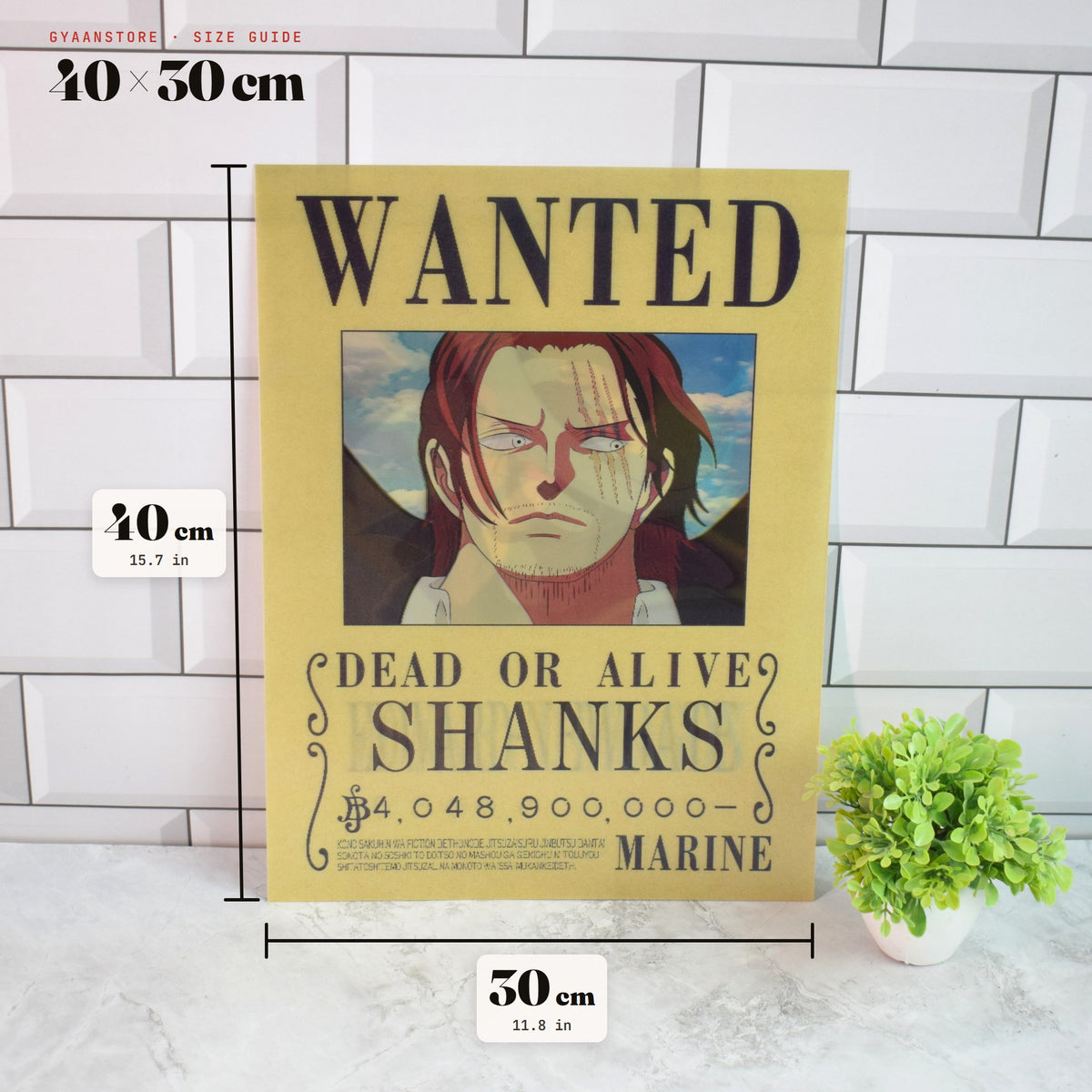One Piece Wanted (Shanks, Whitebeard & Dragon) 3D Lenticular A3 Poster – size guide 40 x 30 cm