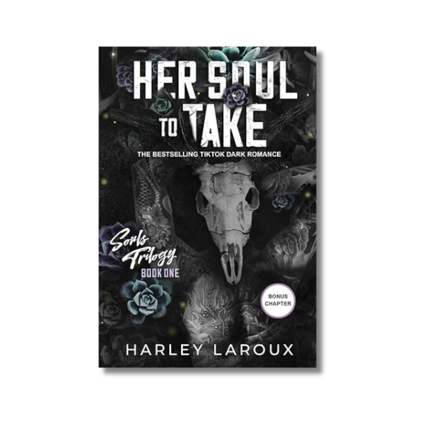 Her Soul to Take: Souls Trilogy #1 book cover