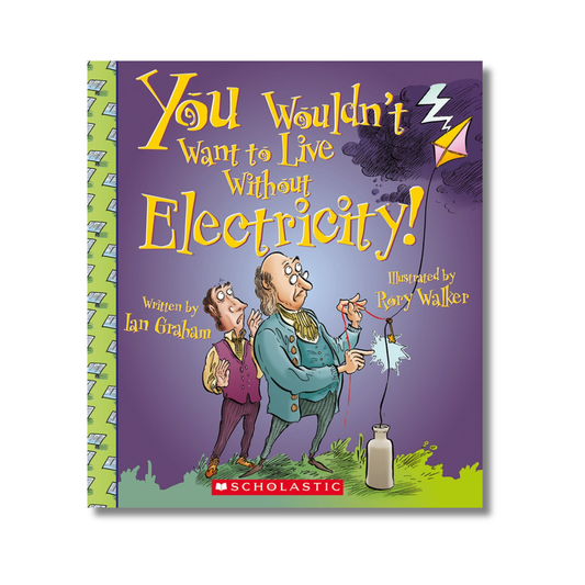 You Wouldn't Want to Live Without Electricity!