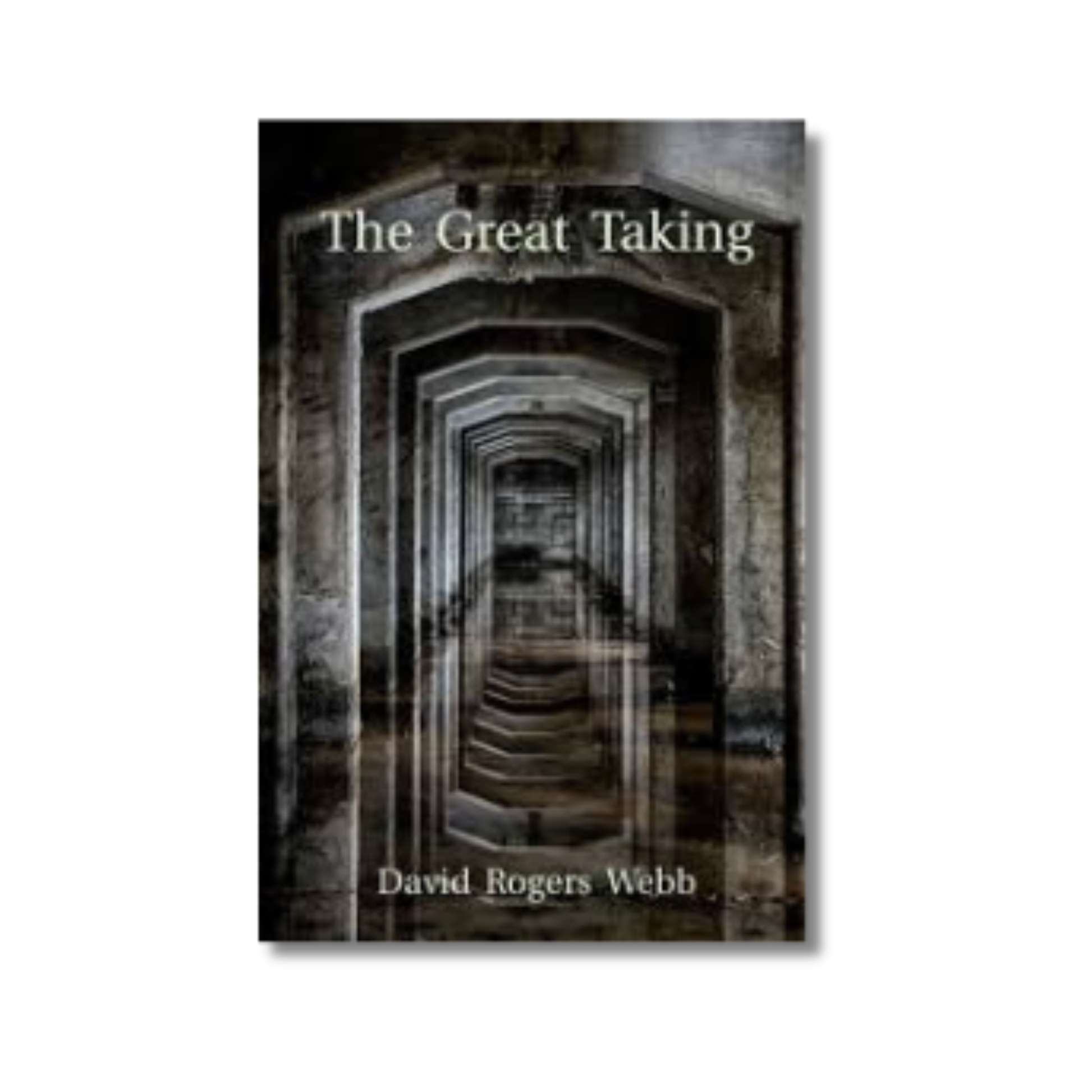 The Great Taking book cover