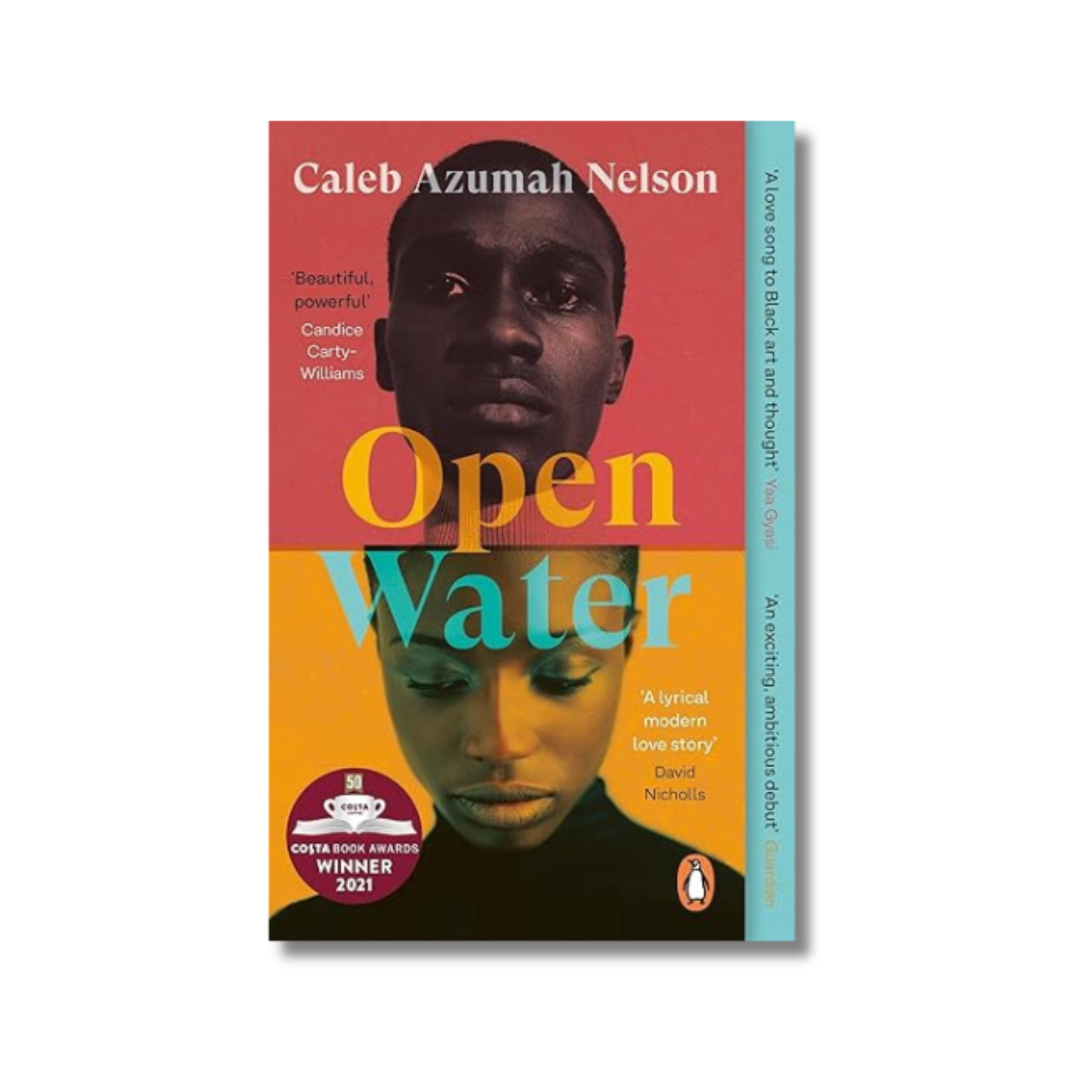 Open Water book cover