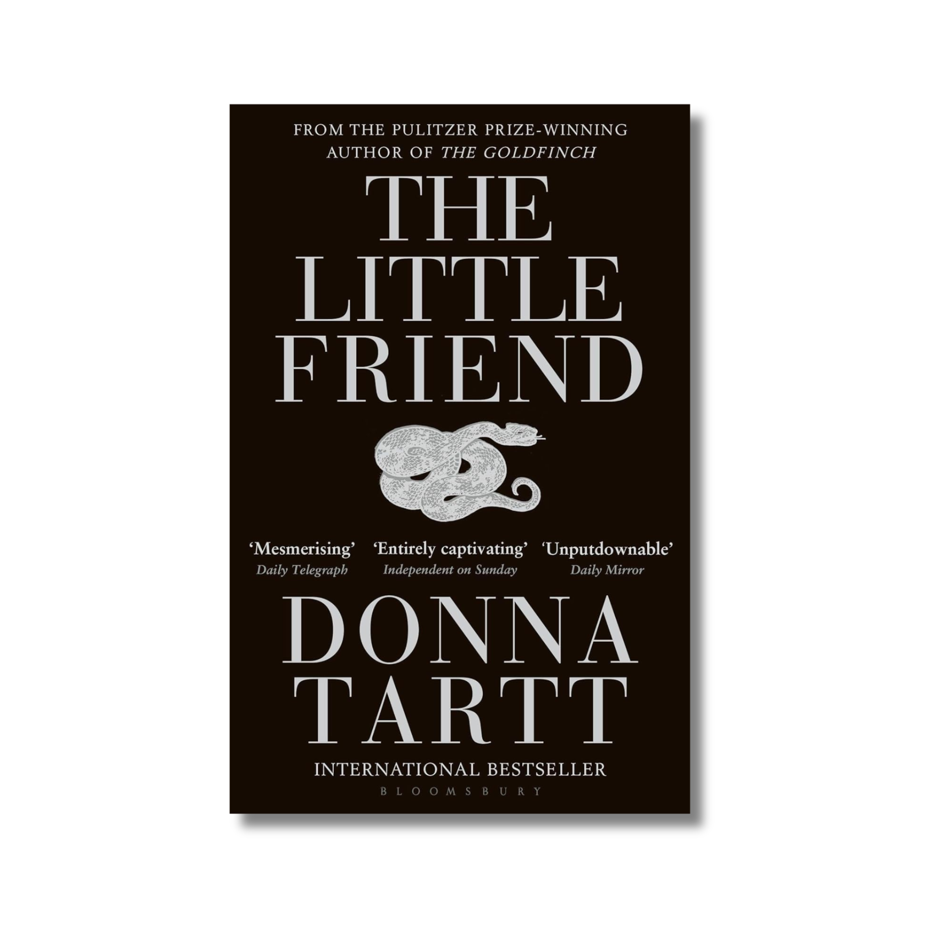 Little Friend book cover