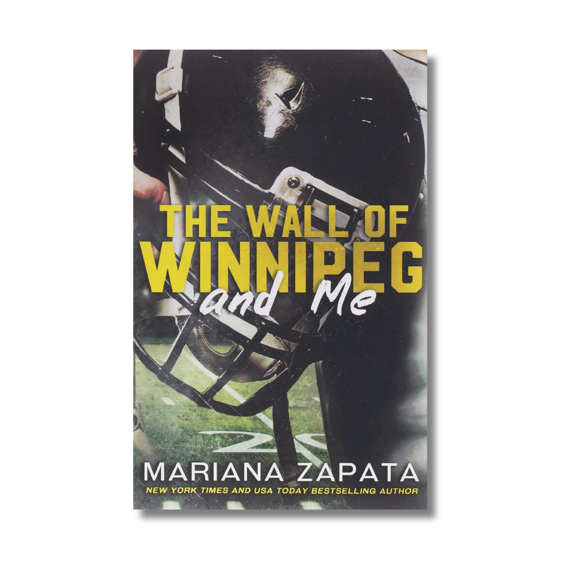 The Wall of Winnipeg and Me book cover