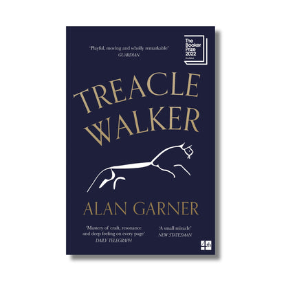Treacle Walker book cover