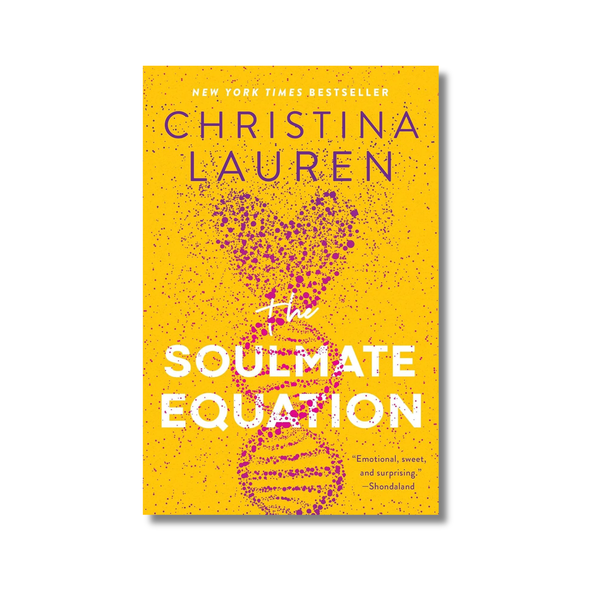 The Soulmate Equation book cover