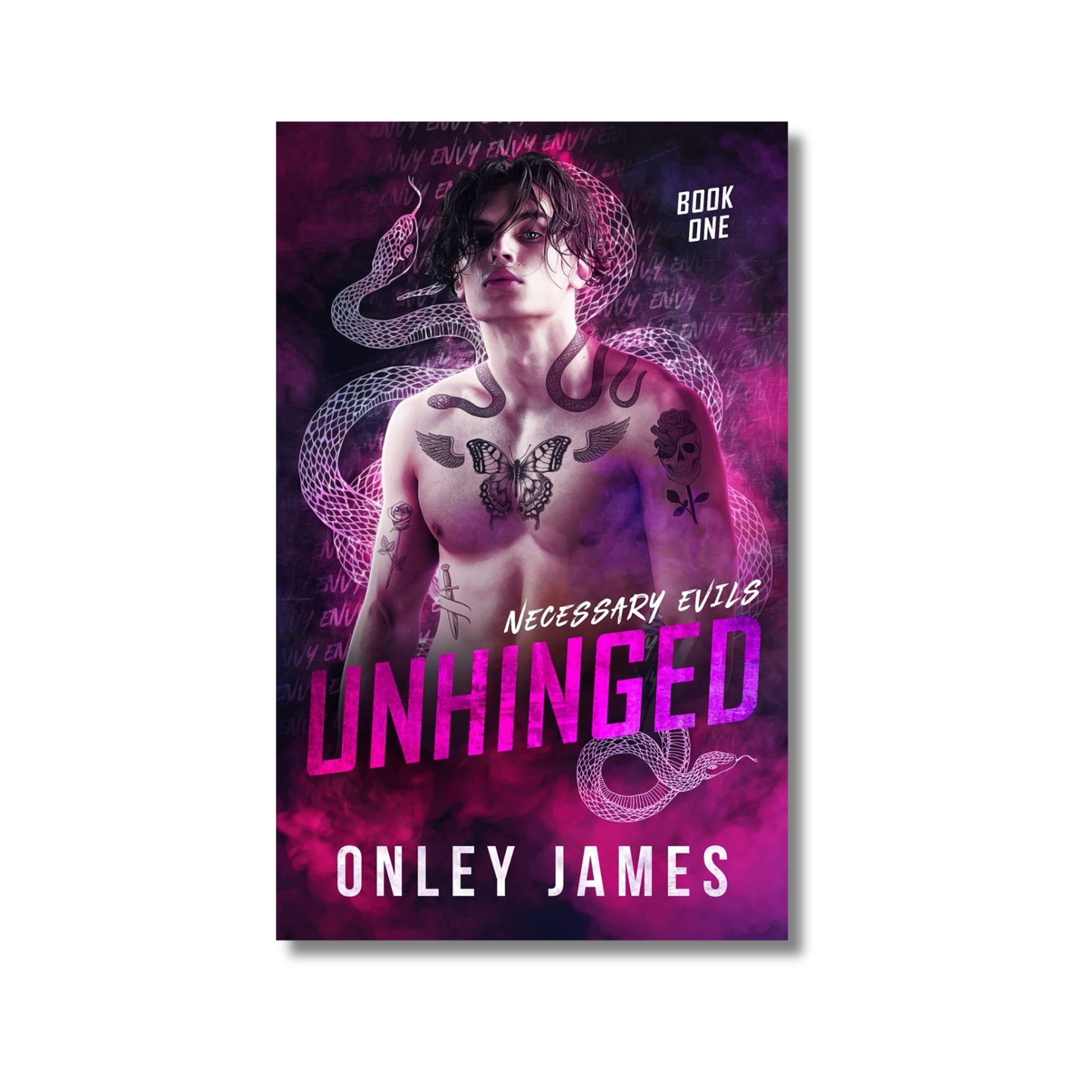 Unhinged: Necessary Evils Series #1 book cover