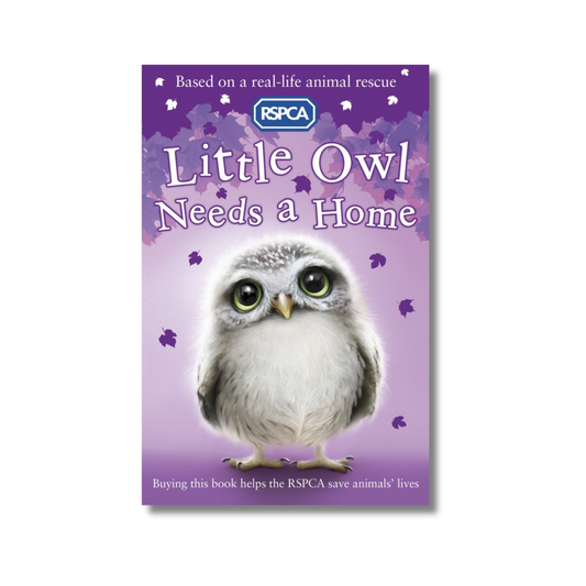 Little Owl Needs a Home