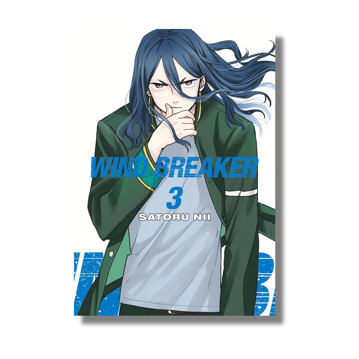 Wind Breaker Vol 3