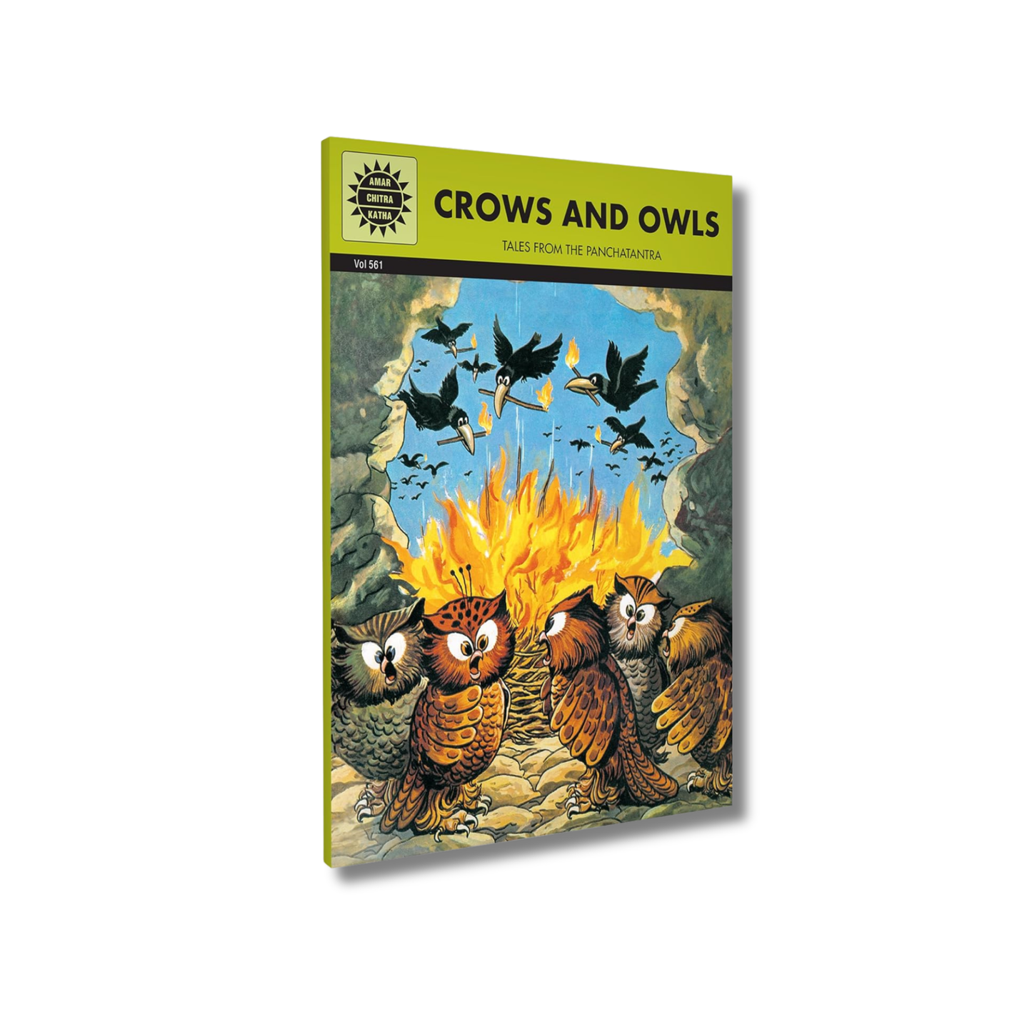 Crows And Owls