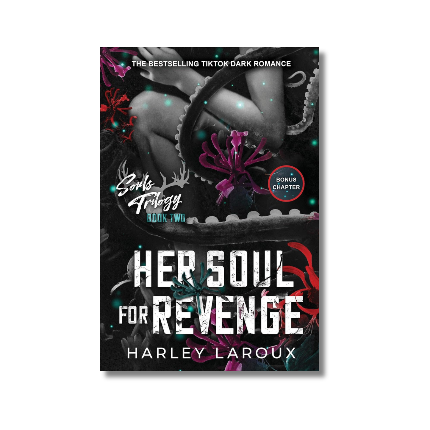 Her Soul for Revenge: Souls Trilogy #2