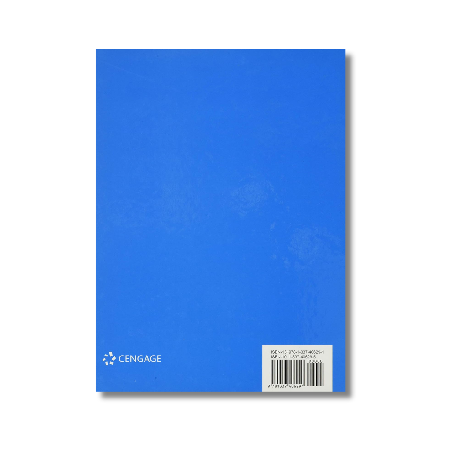 Issues and Ethics in the Helping Professions book - image 2