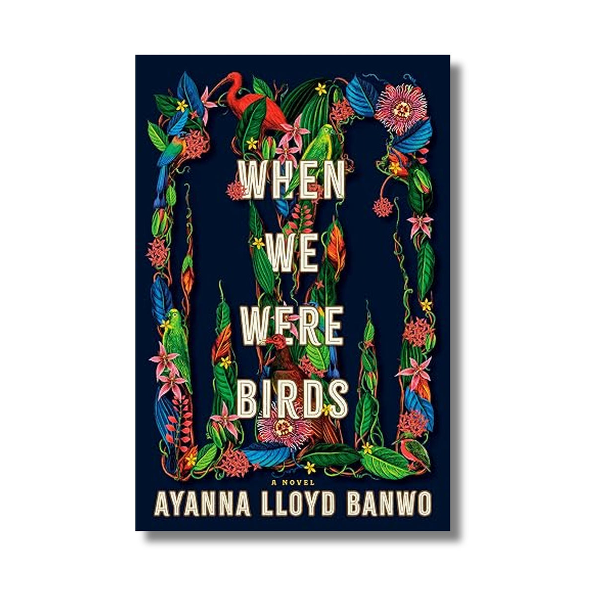 When We Were Birds book cover