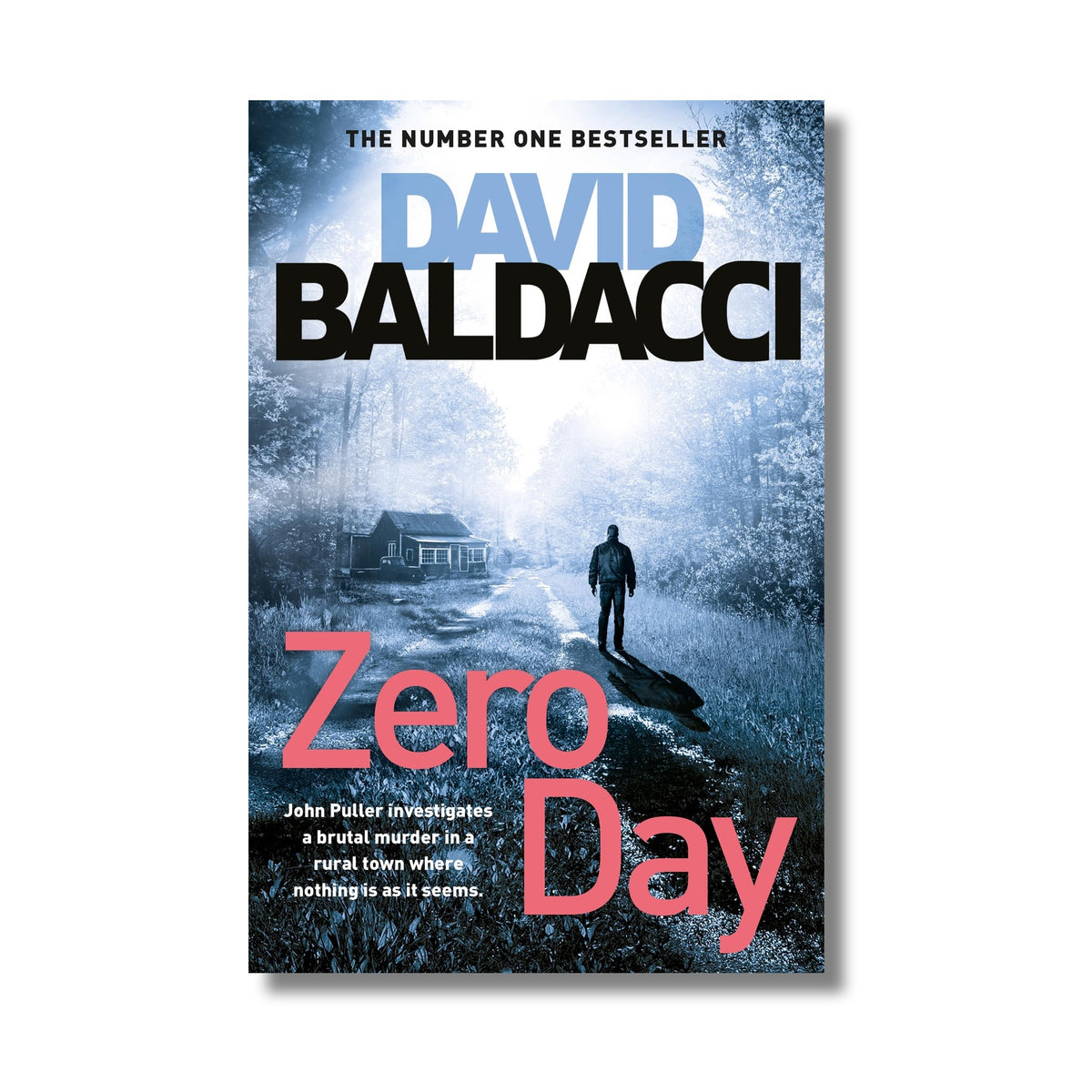 Zero Day book cover